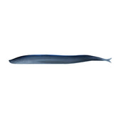 Berkley Gulp Saltwater Sand Eel  5  Silver Mud 1121693