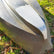 Gator Guards Gator Patch 3 x 18 Fiberglass Reinforced Repair Patch GP318