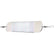 LuhrJensen Money Roll Flasher  11  Chrome Scale 58600111753