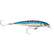 Rapala XRap Long Cast 512  Blue Mackerel SXRL14BM