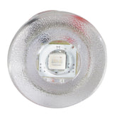 Lumitec Newt  Livewell  Courtesy Light  Warm White NonDimming 101240
