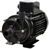 Jabsco Mag Drive Centrifugal Pump  11GPM  110V AC 436977