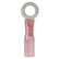 Ancor 2218 Gauge  38 Heat Shrink Ring Terminal  100Pack 310699