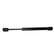 Whitecap 20 Gas Spring  30lb  Black Nitrate G3430C