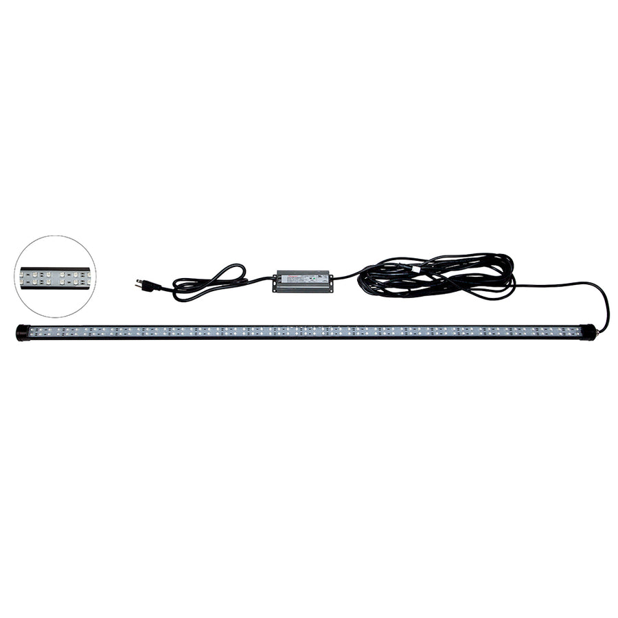 Hydro Glow DM260B 40W120VAC Dock Mounted Fishing Light  Blue DM260B