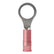 Ancor 2218 AWG  14 Nylon Ring Terminal  25Pack 210204
