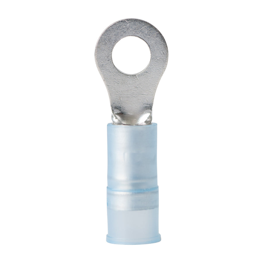 Ancor 1614 AWG  8 Nylon Ring Terminal  100Pack 220212