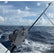 Tigress XD Poseidon Dredge Boom 88443