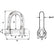 Wichard SelfLocking D Shackle  Diameter 5mm  316 1202W
