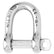 Wichard SelfLocking D Shackle  Diameter 6mm  14 1203W
