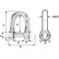 Wichard Captive Pin D Shackle  Diameter 4mm  532 1401W