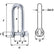 Wichard Captive Pin Long D Shackle  Diameter 4mm  532 1411W