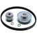 Jabsco 585411000 Pulley  Belt Kit 585411000