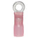 Ancor Heat Shrink Ring Terminal  8 14 25Pack 321425