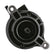 ARCO Marine JohnsonEvinrude Outboard Starter  Late Model 5363