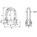 Wichard SelfLocking D Shackle  12mm Diameter  1532 1206W