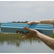 Toadfish Stowaway Folding Cutting Board wBuiltIn Knife Sharpener  Teal 1054